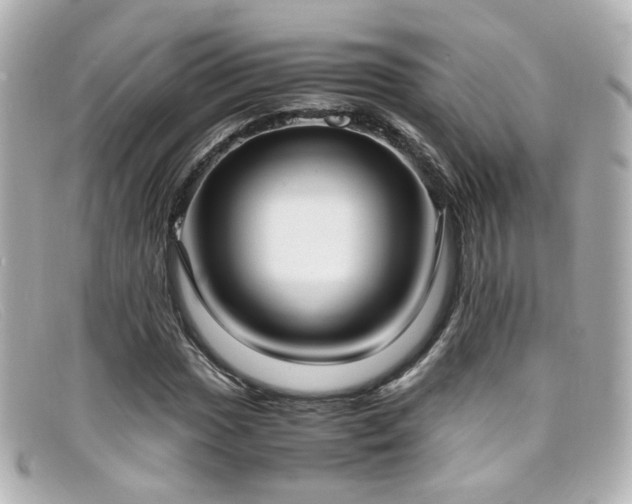 X0000099401017200805081529