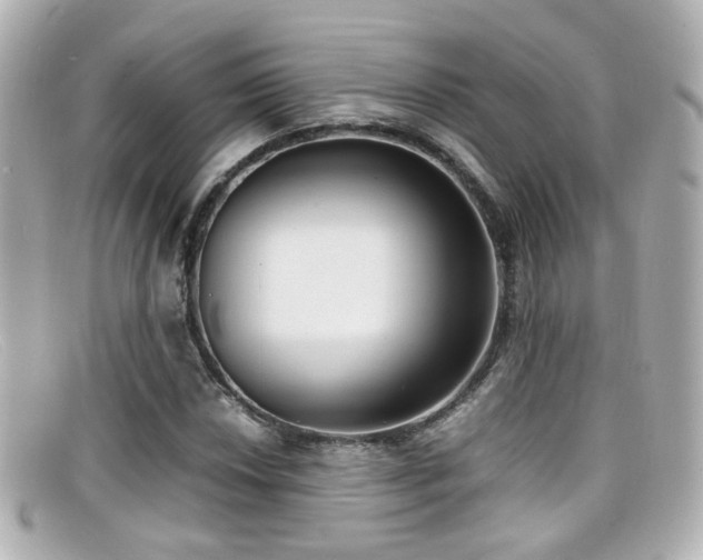 X0000099401018200805081529