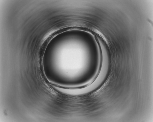X0000099401019200805081529