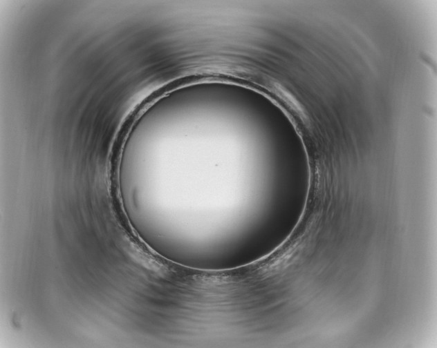 X0000099401020200805081529