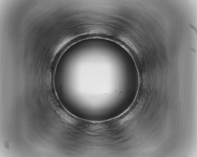 X0000099401021200805081529