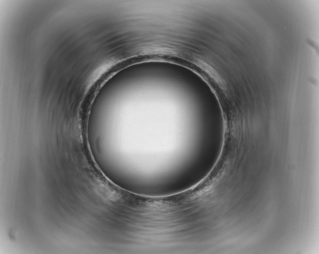 X0000099401022200805081529