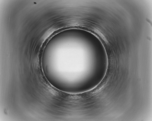 X0000099401023200805081529