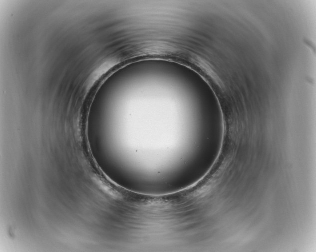 X0000099401026200805081529