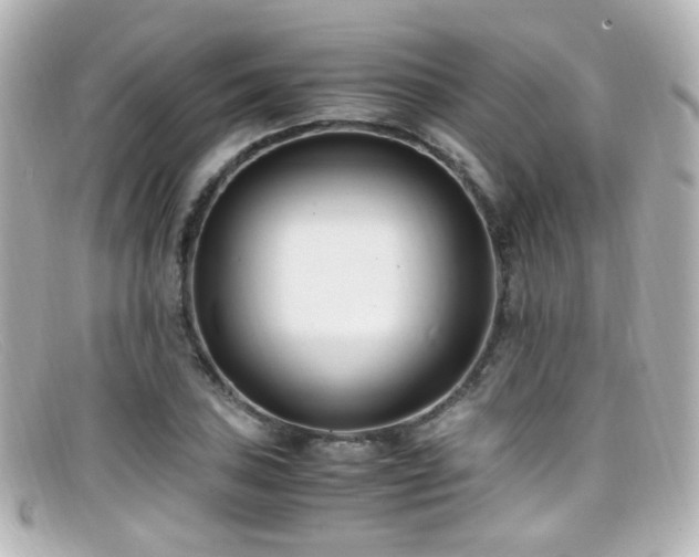 X0000099401027200805081529
