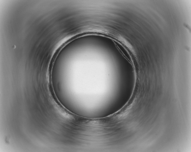 X0000099401028200805081529