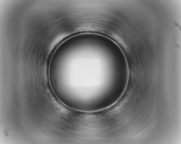 X0000099401030200805081529