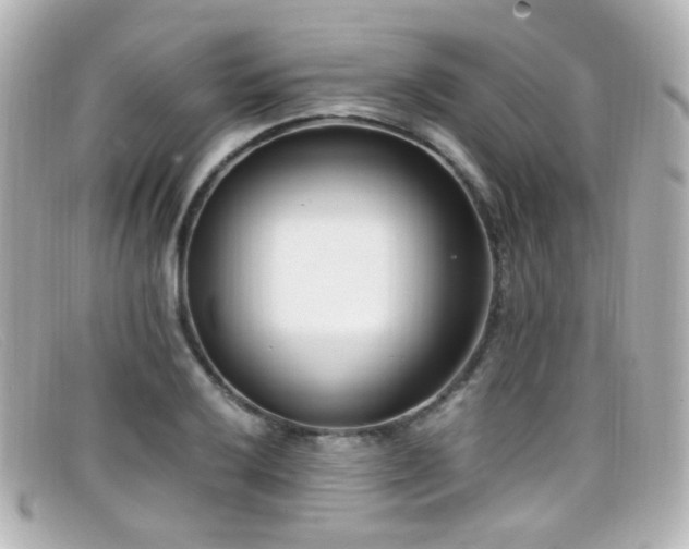 X0000099401032200805081529