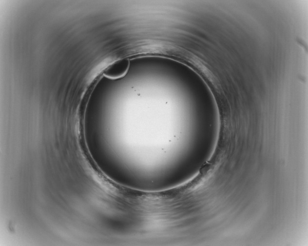 X0000099401034200805081529