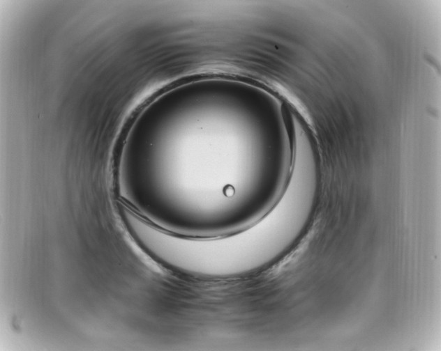 X0000099401037200805081529