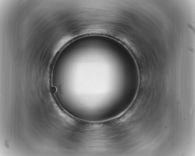 X0000099401038200805081529