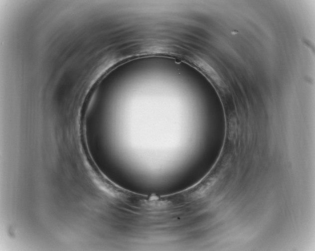 X0000099401039200805081530