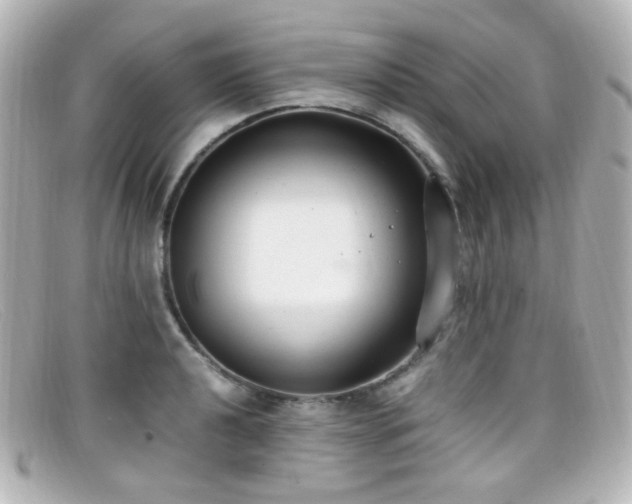X0000099401040200805081530