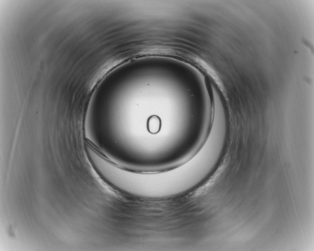 X0000099401041200805081530