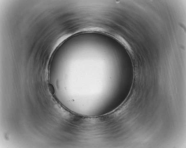 X0000099401044200805081530
