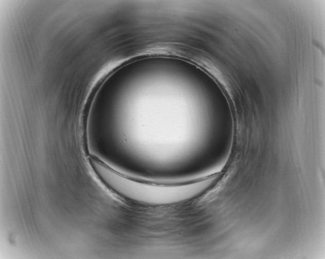 X0000099401045200805081530