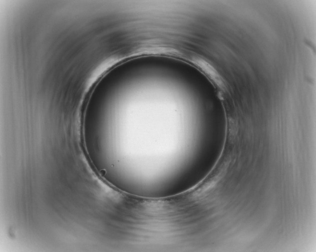 X0000099401046200805081530