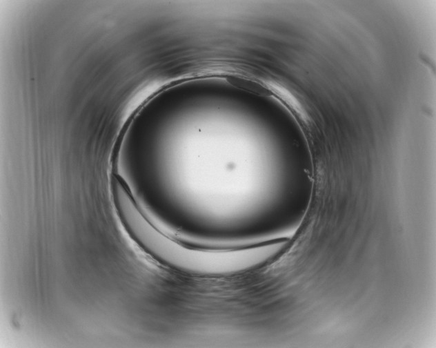 X0000099401047200805081530