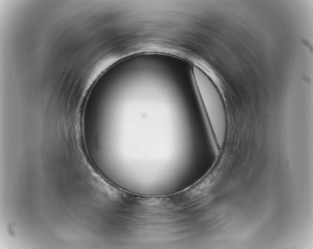 X0000099401048200805081530