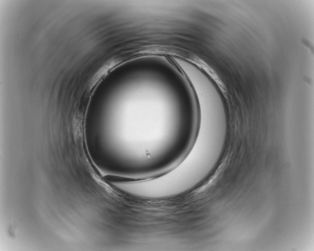 X0000099401049200805081530