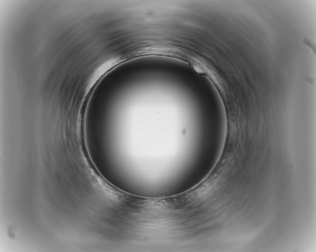 X0000099401050200805081530