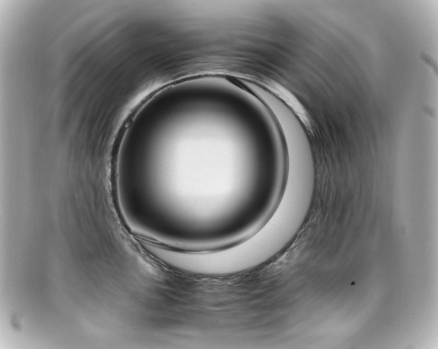 X0000099401051200805081530
