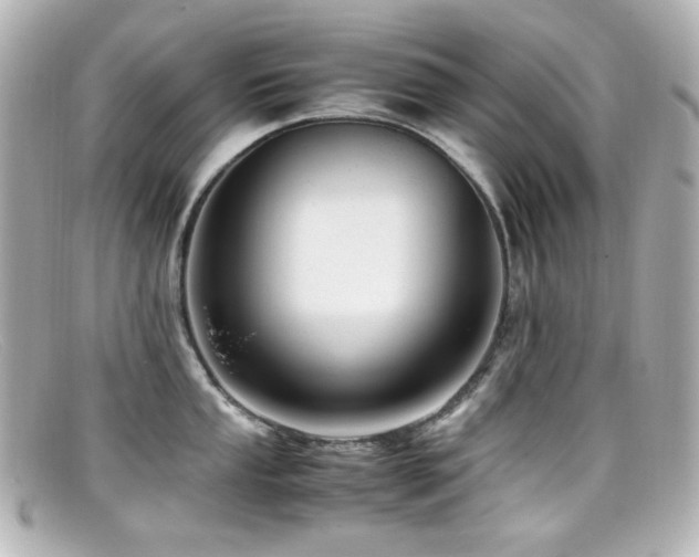 X0000099401053200805081530