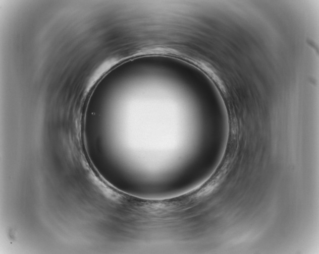 X0000099401054200805081530