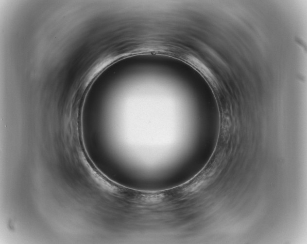 X0000099401055200805081530
