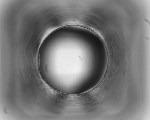 X0000099401056200805081530