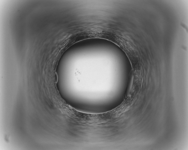 X0000099401057200805081529