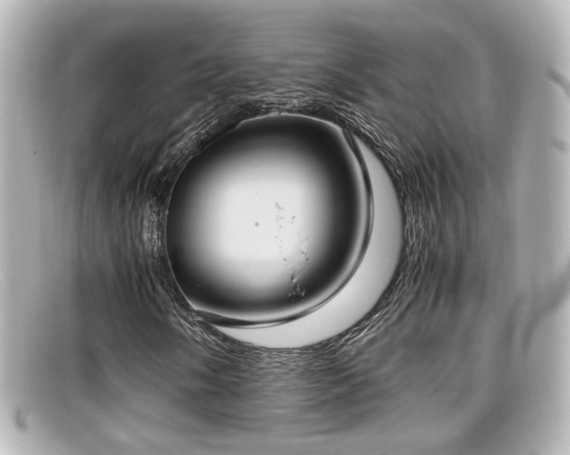 X0000099401058200805081529