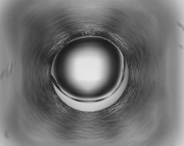 X0000099401060200805081529