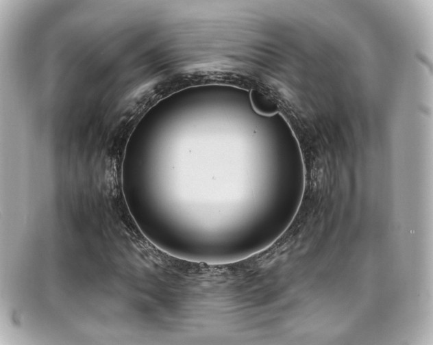X0000099401062200805081529