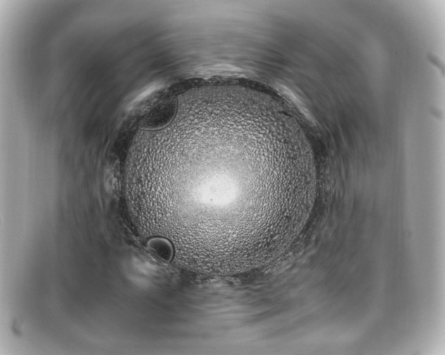 X0000099401063200805081529