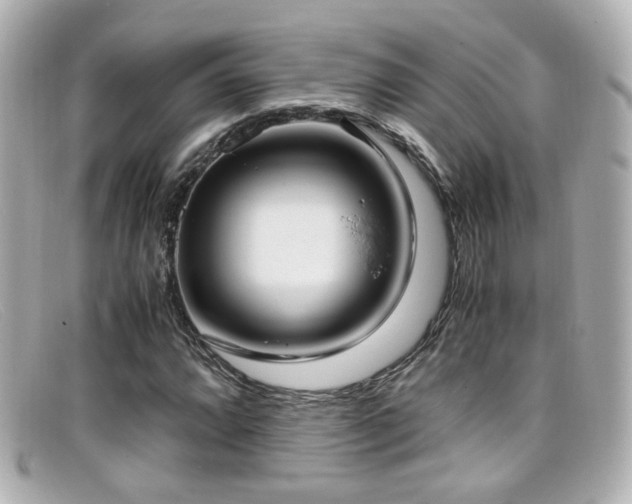 X0000099401064200805081529