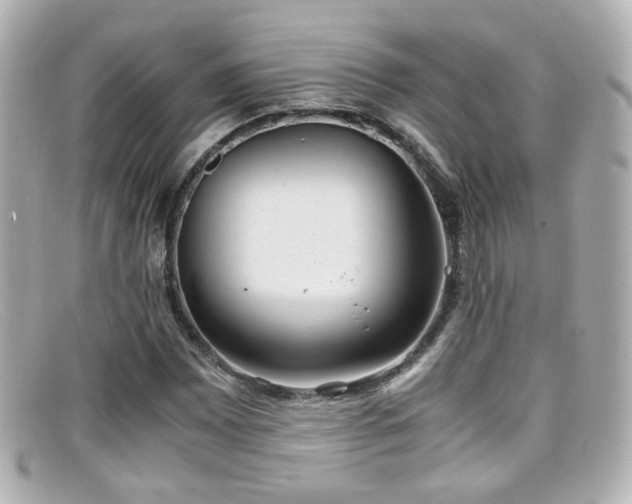 X0000099401065200805081529