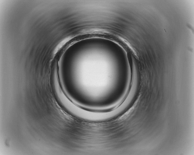 X0000099401066200805081529