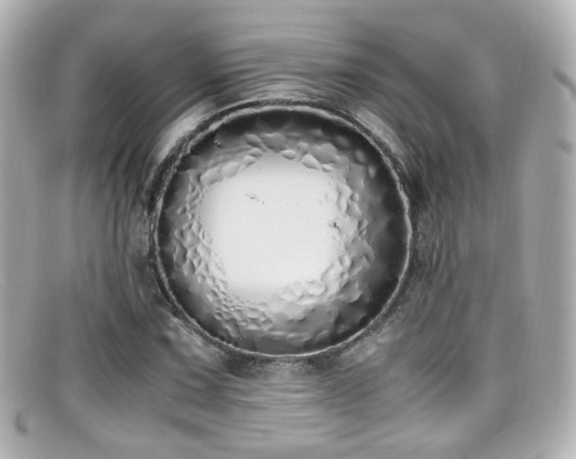 X0000099401067200805081529