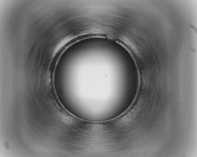 X0000099401070200805081529