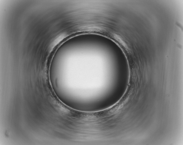 X0000099401071200805081529