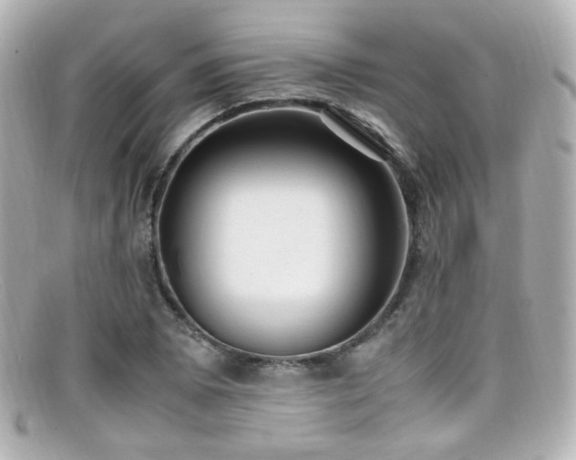 X0000099401073200805081529
