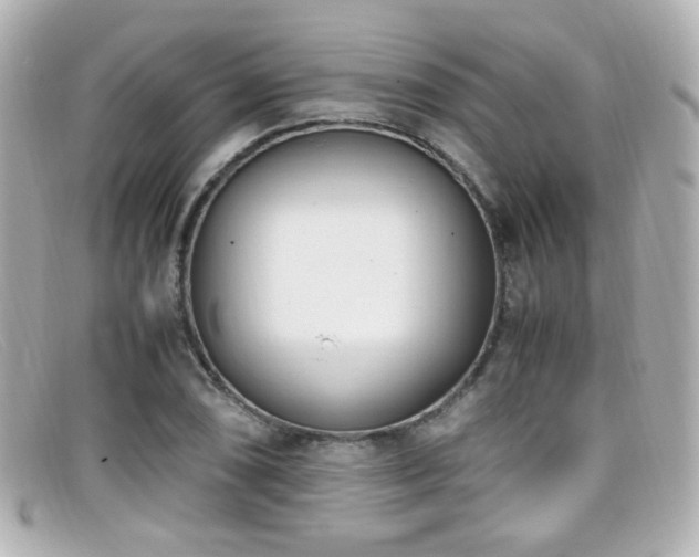 X0000099401074200805081529
