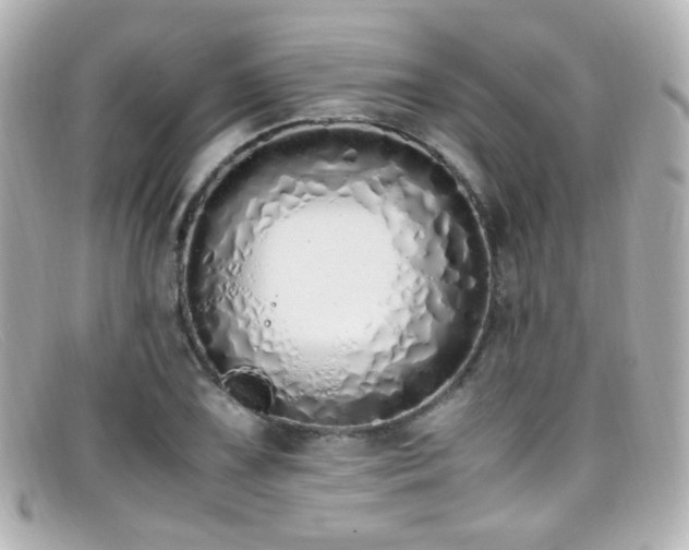 X0000099401075200805081529
