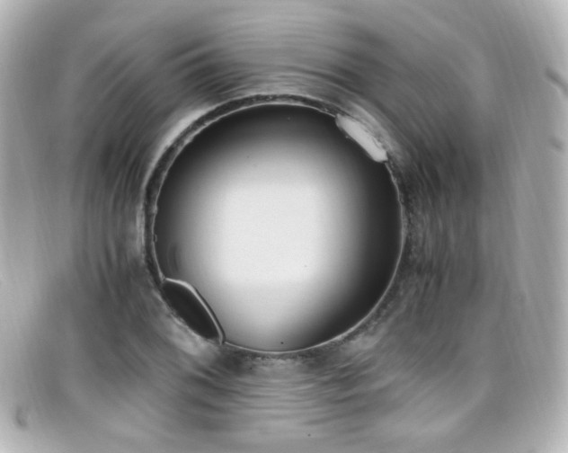 X0000099401076200805081529