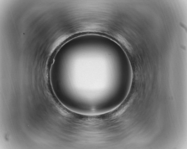 X0000099401077200805081529