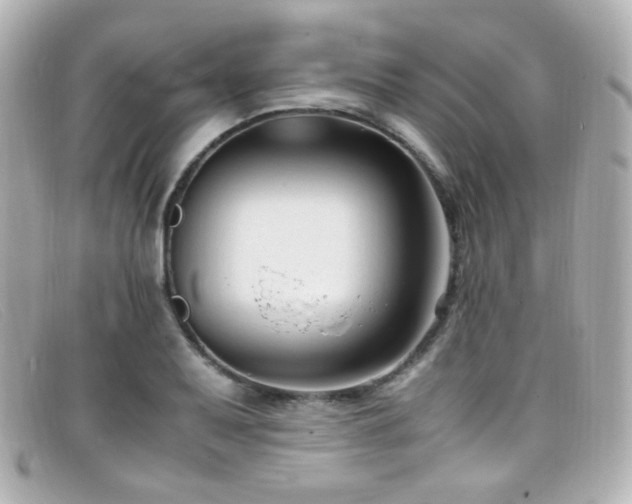 X0000099401079200805081529