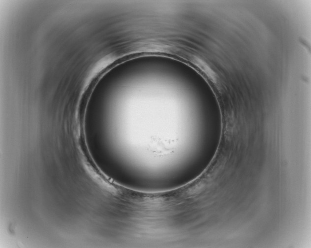 X0000099401080200805081529