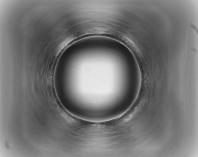 X0000099401081200805081529