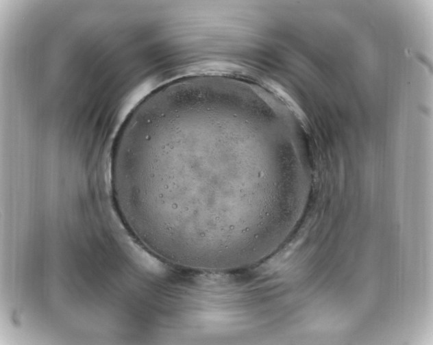 X0000099401083200805081529